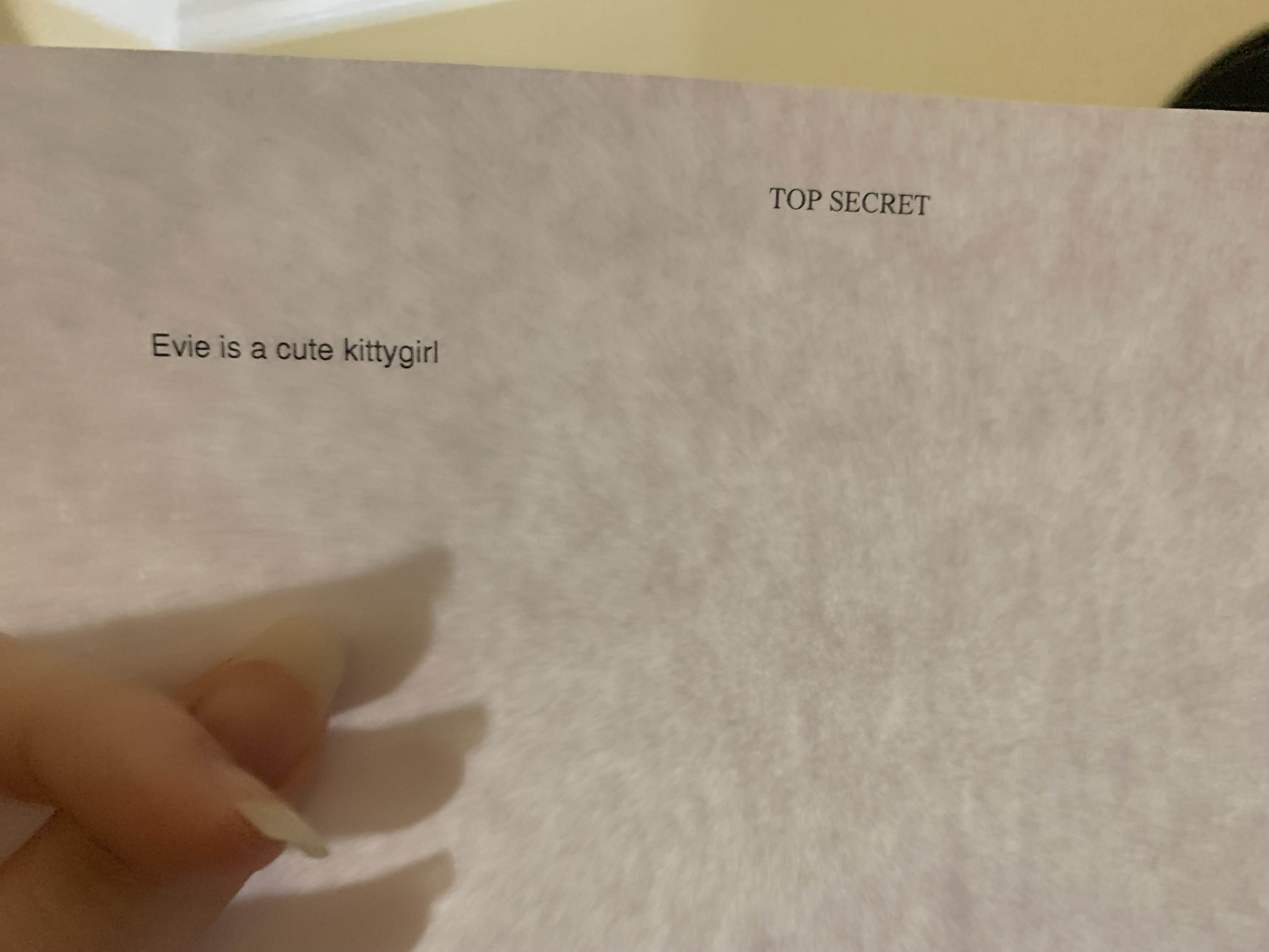 Picture of a piece of paper with a heading saying TOP SECRET, and some text saying
                            Evie is a cute kittygirl
